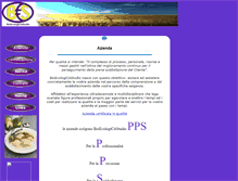 Tablet Screenshot of bioecologicastudio.it